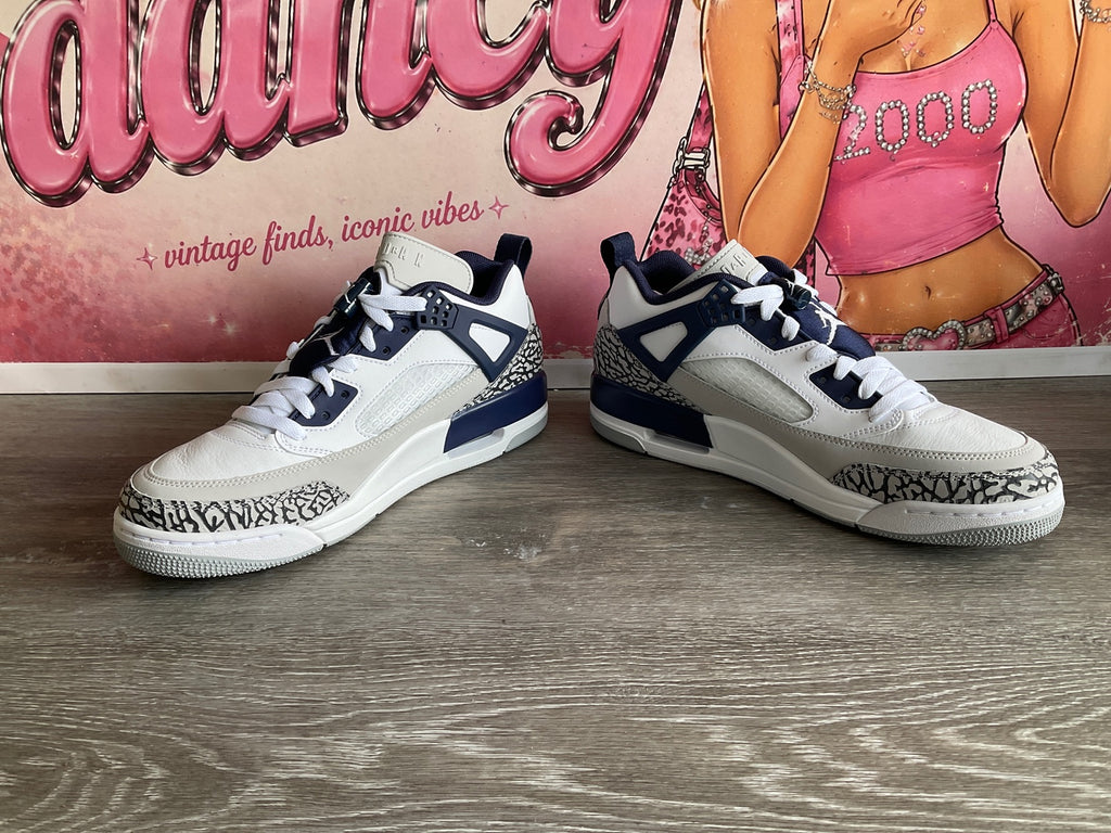 Jordan Spizike Low (Size M8.5 W10)