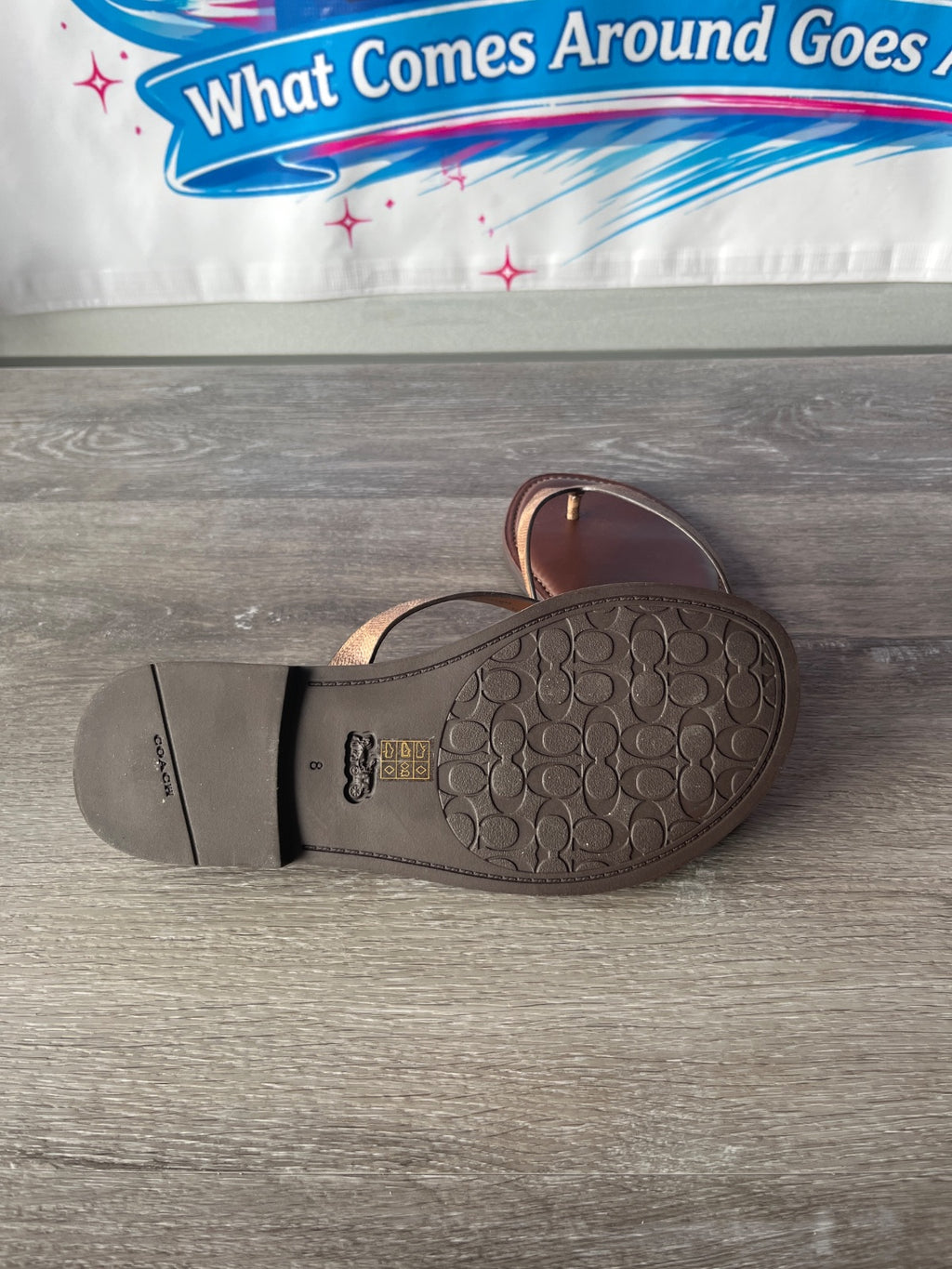 Coach Brianna CTD Sandals (Size W8)