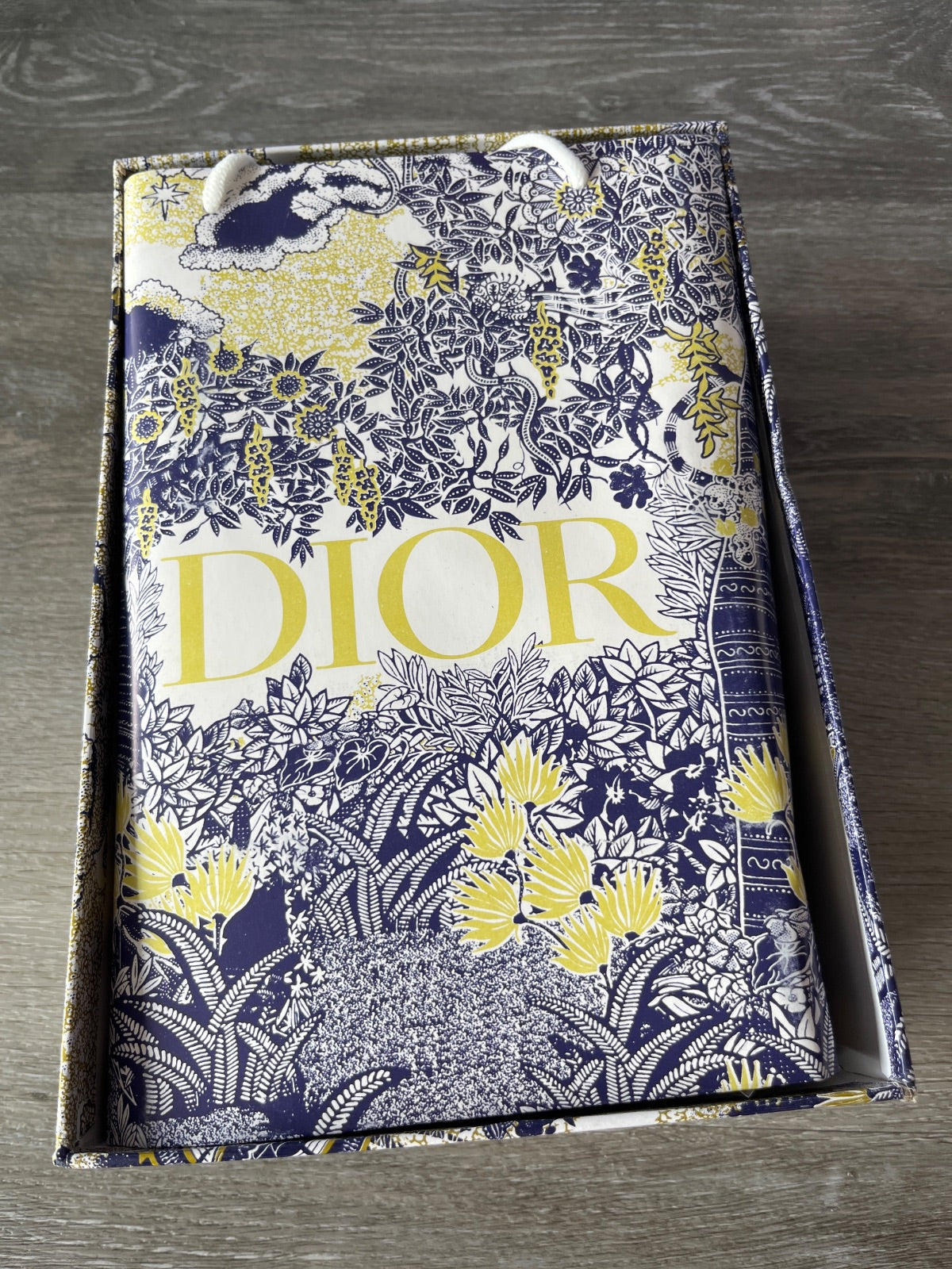 Christian Dior Sneaker (Size W7)